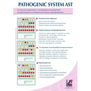 Система для определения и тестирования антимикробной восприимчивости к основным патогенным микроорганизмам. фото