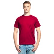 Мужская спортивная футболка StanPrint 30 Красный L/50 фото