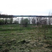 Участок 4,2 Га у озера Ужо в Псковской области фото