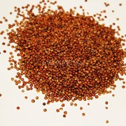 Киноа красная100 г фото