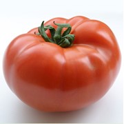 Семена томатов F1 Сеньор фото