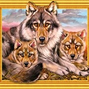 Алмазная мозаика на подрамнике Волчица и подросшие волчата 40х50 см (картина стразами) (7DAR195)