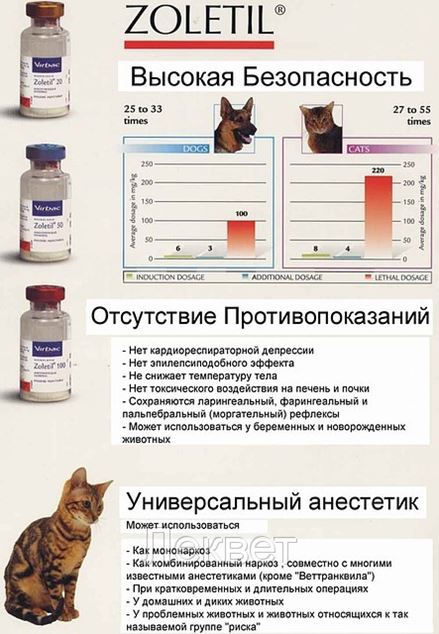 Золетил 100 в Москве (Корма для животных и птицы, общее) - Леквет на ...