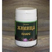Живица Плюс, 90капс. фото