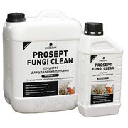 PROSEPT – FUNGI CLEAN удалитель плесени объем 1 литр.
