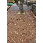 Тротуарная плитка Маргарита цвет коричневый фотография