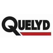 Клей QUELYD-суперэкспресс,индикатор,для стеклообоев,виниловый,для стен,Момент-столяр фото