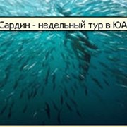 Туры эксклюзивные фото