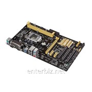 Материнская плата Asus H81-PLUS Socket 1150 фото