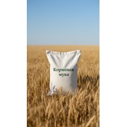 Кормовая мука Гермес 4  фото