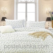 Комплект постельного белья трикотаж джерси La scala JR-26 Двуспальный Евро фотография