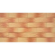Фасадный клинкер Атакама рустик (245,65,6.5)