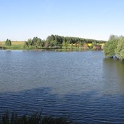 Продается пруд (12 Га) в Липецкой области фото
