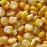 Кукуруза быстрозамороженная целыми зернами фото