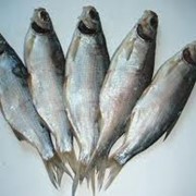 Рыба солено-сушеная