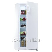 Холодильник Snaige C 29SM-T10021 фотография