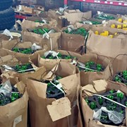 Предлагаем транспортеры JD, Claas, New Holland фото