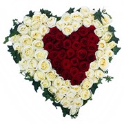 Сердце из 65 белых и красных роз