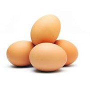 Яйца куриные покупка и экспорт куриных яиц фото