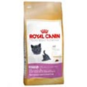 Корм для котов Royal Canin Kitten British Shorthair (для котят британской короткошерстной) 2 кг фотография