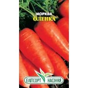 Семена моркови Аленка 2 г фото