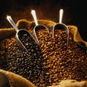 Кофе в зернах фото