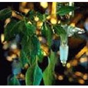 Сырье для удобрительной промышленности фото