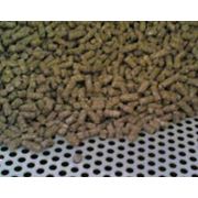 Комбинированный корм — смесь зернового сырья продуктов с высоким содержанием белка витаминов и микроэлементов для кормления животных. фото