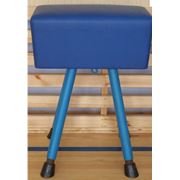 Козлы гимнастические фото