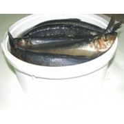 Рыба слабосоленая давно уже стала традиционным продуктом который отличается богатым вкусом и обладает множеством питательных элементов. Наша компания готова предложить вам только самую свежую и качественную слабосоленую рыбу. фото