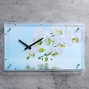 Часы настенные, серия: Цветы, “Белые цветы у воды“, 35х60 см, микс фото