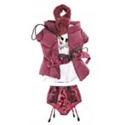 Комплект нижнего белья Lingerie фото