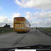 Услуги автомобильного транспорта фото