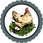 Солотвинская птицефабрика продает яйца куриные фотография