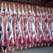 Мясо говядина в Астане фото
