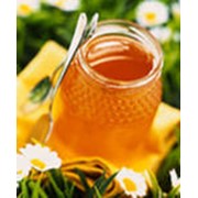 Мёд цветочный фото