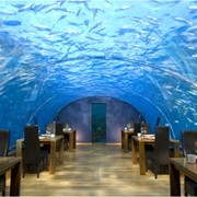 Экзотические туры, Подводный ресторан АКЦИЯ на МАЛЬДИВАХ !!! фото