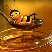 Мед, продукты пчеловодства и инвентарь для пчеловодов Донецк фото