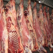 Мясо говядины I кат.егории в полутушах коровы фото
