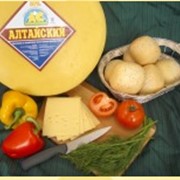 Алтайский сыр