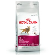 Сухой корм для кошек Royal Canin Fit 32 4 кг фотография