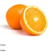 Апельсины с Египта сорта ​Валенсия / Навелла фото