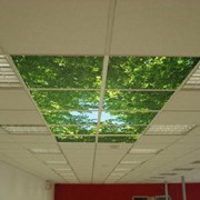 Потолки подвесные стеклянные фото
