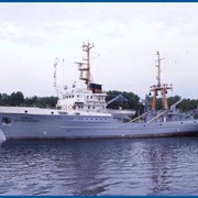 Рыболовные траулеры-сейнеры фото