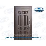 Дверь внутренняя металлическая левая Форпост 2 замка В-1 63мм проем-860х2050мм фотография