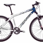CANNONDALE F6