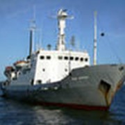 Услуги по фрахтованию судов фото