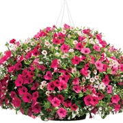 Вазон “Тип-1“, материал: бетон фото