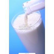 Сырое молоко оптом и в розницу от производителя 30 т. в день фото