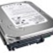 Жесткий диск HDD 1Tб 7200.12 Seagate 32MB SATA-II фото